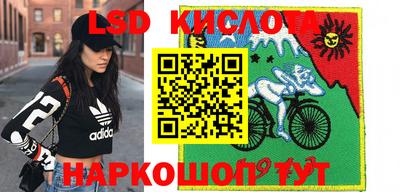 ешки Боровичи