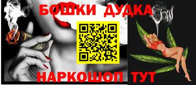 ешки Боровичи