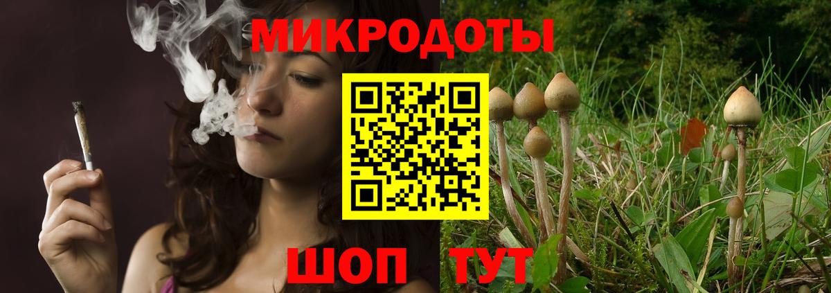 Десногорск  Псилоцибиновые грибы Cubensis  Псилоцибиновые грибы прущие грибы  Вход с VPN 